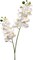 12-Pack: White Phalaenopsis Orchid Spray with 16 Silk Flowers, Floral Home by Artificial Flowers